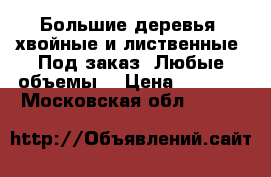 Большие деревья, хвойные и лиственные. Под заказ. Любые объемы. › Цена ­ 1 000 - Московская обл.  »    